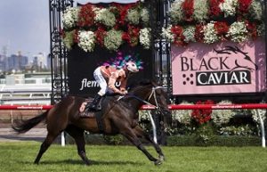 Black Caviar winning her third consecutive Lightning Stakes (Photo courtesy jockey/photographer Stephen Baster via Twitter)