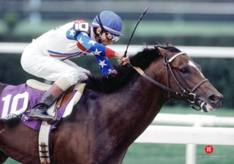 Cigar with Jerry Bailey up wins 1995 Breeders Cup Classic