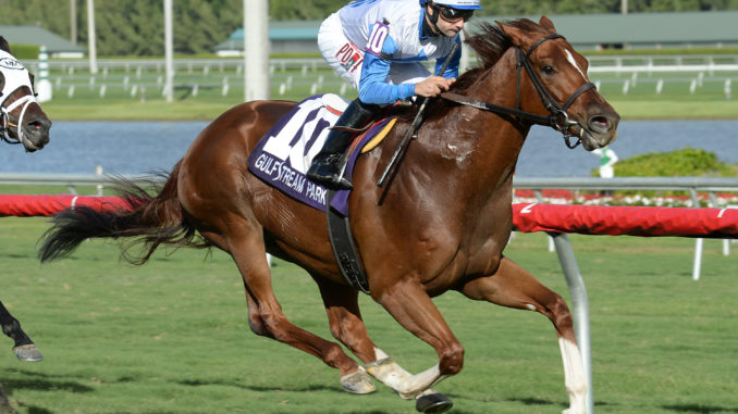 Giant Run takes the Tropical Park Derby (Photo courtesy Coglianese Photography/Lauren King)