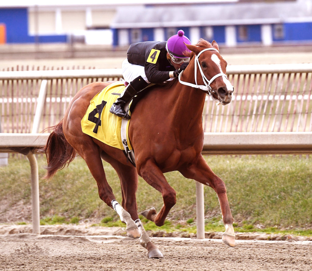 Ms Locust Point dominated the Gin Talking for champion freshman sire Dialed In (Photo courtesy Jim McCue/Maryland Jockey Club)