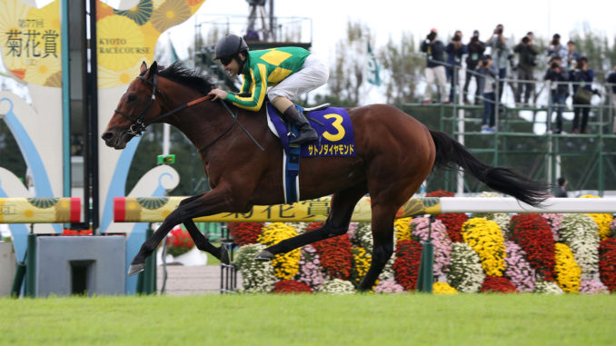 Satono Diamond surges clear in the Japanese St Leger (Copyright Japan Racing Association)