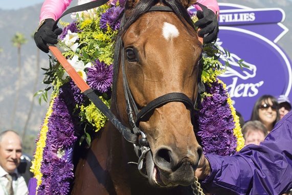 Champagne Room 2016 Breeders' Cup