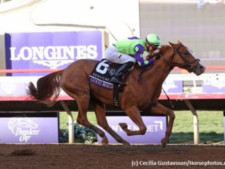 Good Magic brings giant expectations into his 3-year-old campaign following a splendid win in the Breeders Cup Juvenile at Del Mar