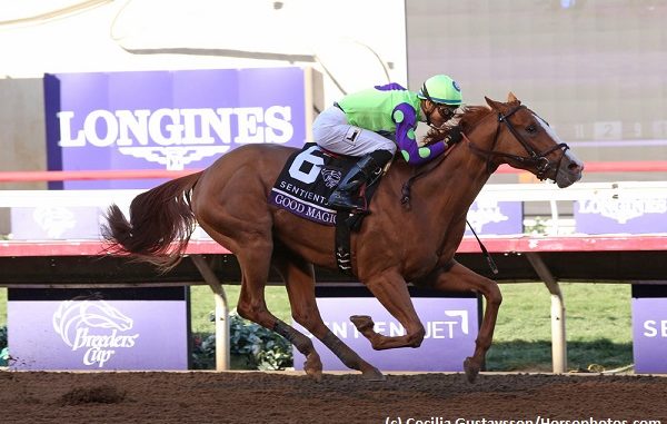 Good Magic brings giant expectations into his 3-year-old campaign following a splendid win in the Breeders Cup Juvenile at Del Mar