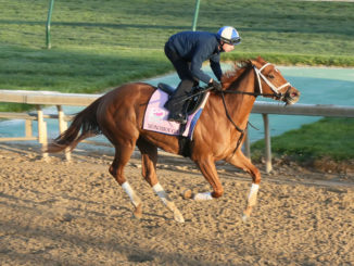 Monomoy Girl is nearly set to give Louisville local Brad Cox a major run in the Kentucky Oaks (G1)