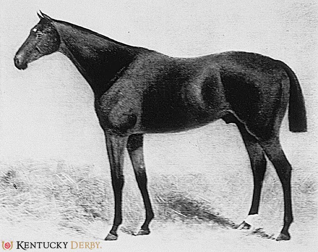 Kingman 1891 Kentucky Derby winner