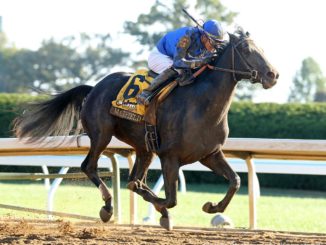 Maxfield wins the Breeders' Futurity at Keeneland 2019