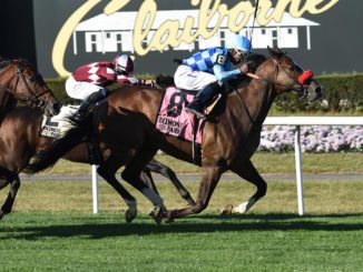 Neptune's Storm wins the Hill Prince at Belmont Park 2019