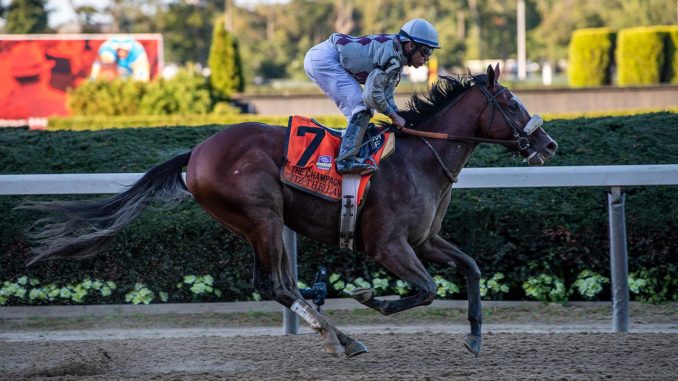 Tiz the Law wins the Champagne S 2019