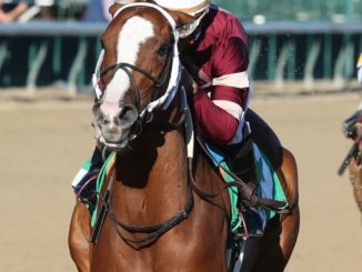 Finite smashed Monomoy Girl's stakes record in the Rags to Riches at Churchill Downs