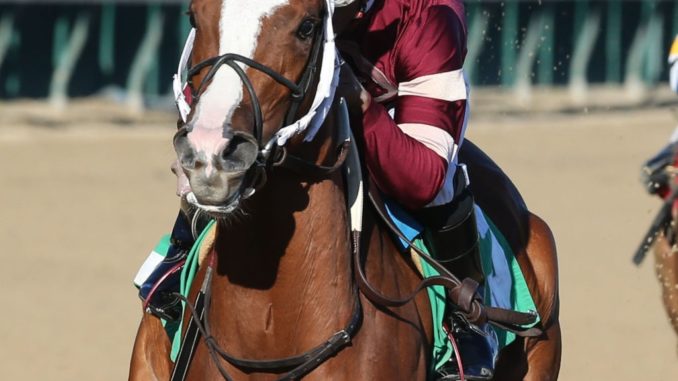 Finite smashed Monomoy Girl's stakes record in the Rags to Riches at Churchill Downs