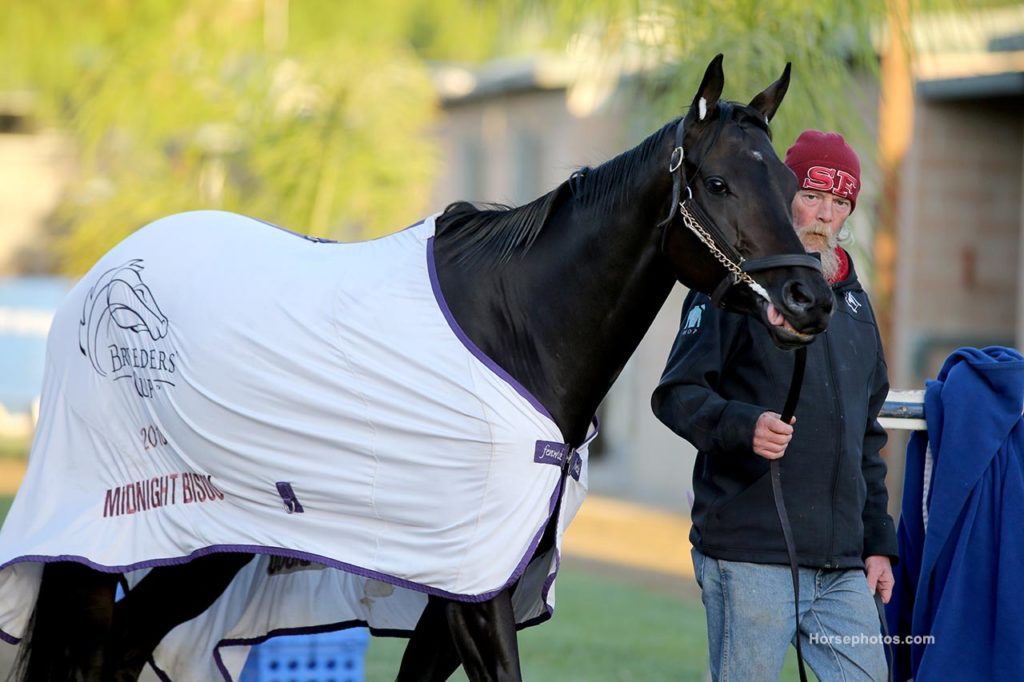 Midnight Bisou at the Breeders' Cup 2019 