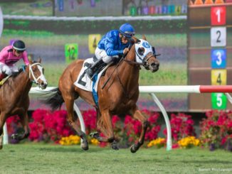 Alms wins the Jimmy Durante Stakes 2019 at Del Mar