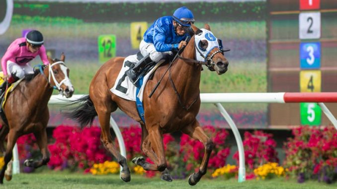 Alms wins the Jimmy Durante Stakes 2019 at Del Mar
