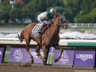 Blue Prize wins the Breeders' Cup Distaff 2019