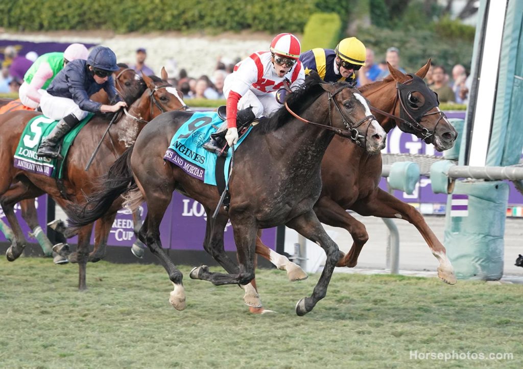 Bricks and Mortar wins the Breeders' Cup Turf