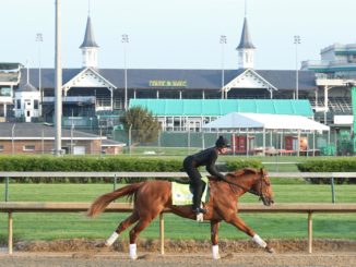 Country House at Churchill Downs 2019