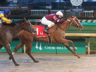Finite wins the Golden Rod Stakes at Churchill Downs 2019