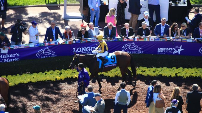 Four Wheel Drive at Breeders' Cup 2019