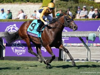 Four Wheel Drive wins the Breeders' Cup Turf Sprint 2019