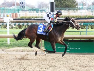 Myldy Curlin wins the Falls City Stakes at Churchill Downs 2019