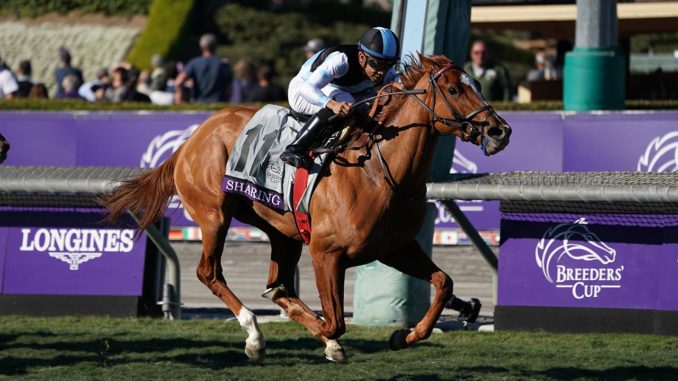 Sharing wins the Breeders' Cup Juvenile Fillies Turf 2019