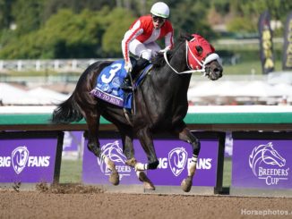 Spun to Run wins the Breeders' Cup Dirt Mile 2019