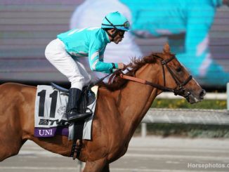 Uni wins the Breeders' Cup Mile 2019