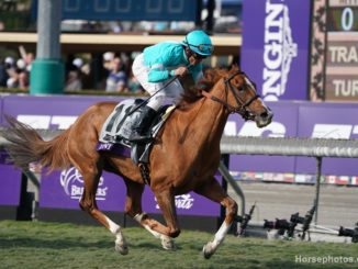 Uni wins the Breeders' Cup Mile 2019