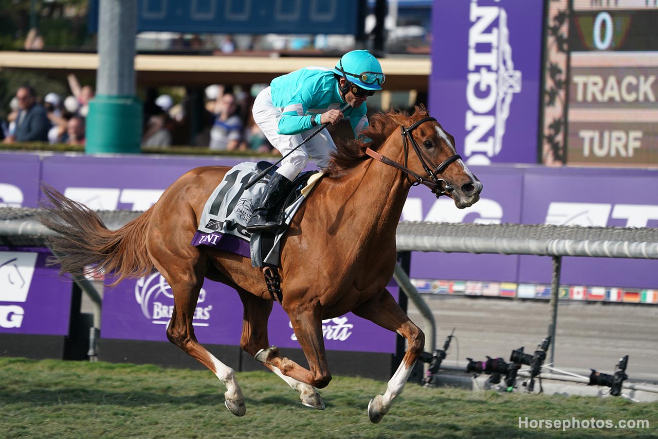 Breeders’ Cup Mile Defending champion Uni in historical context