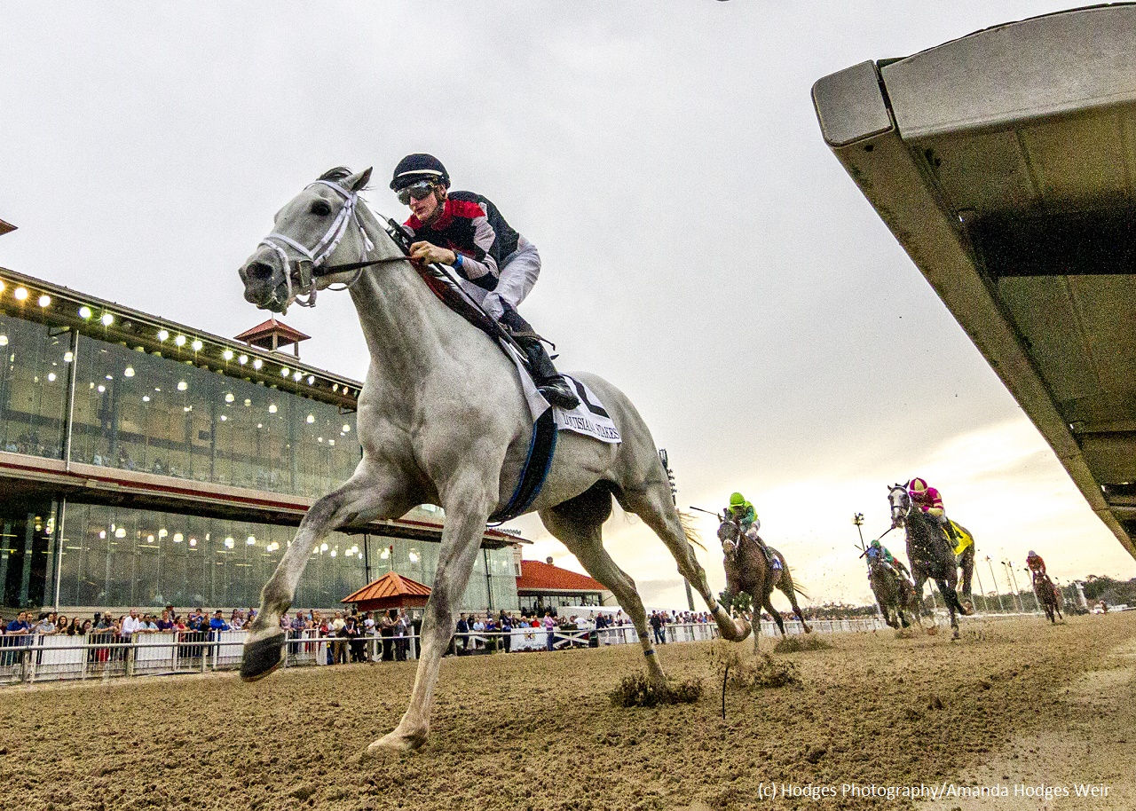 Silver Dust, Synchrony look to repeat on Louisiana Derby Preview Day