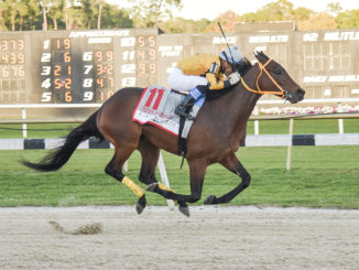 King Guillermo wins the Tampa Bay Derby