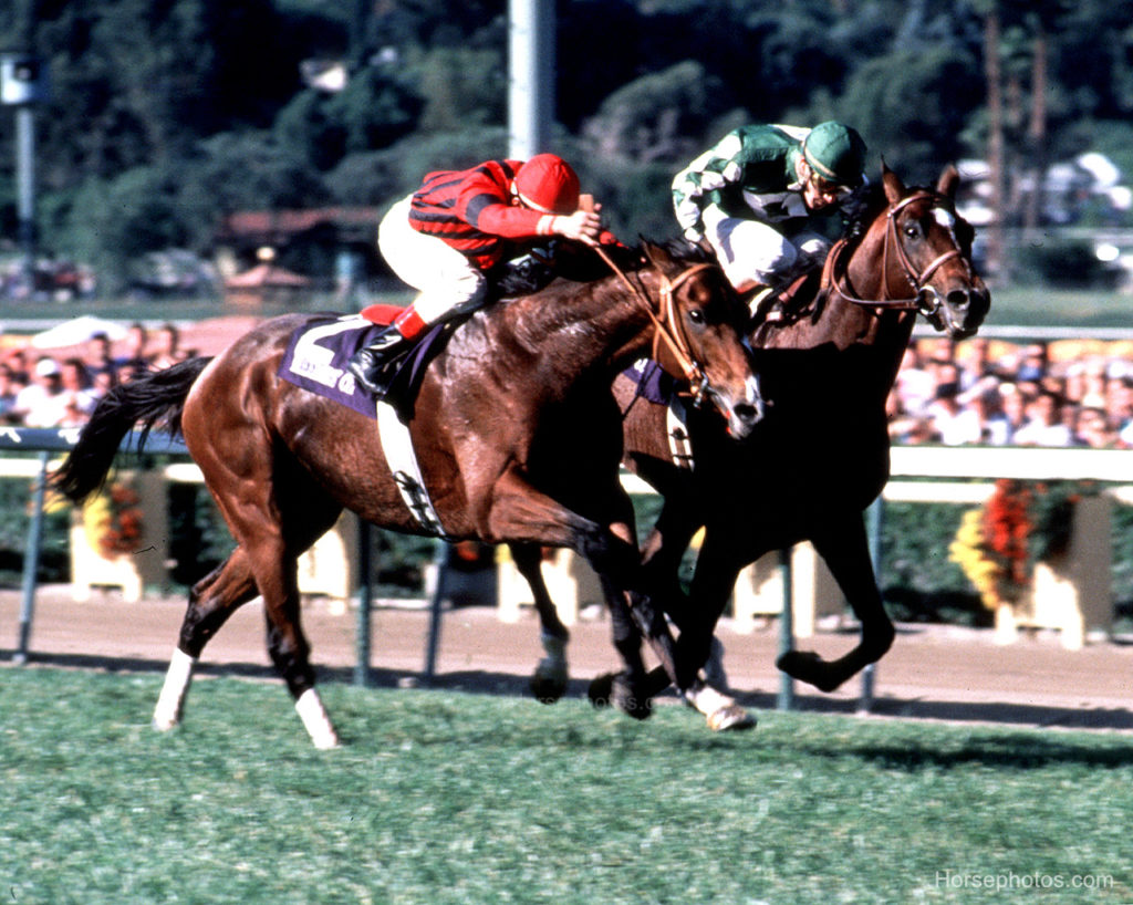Manila wins at the 1986 Breeders' Cup