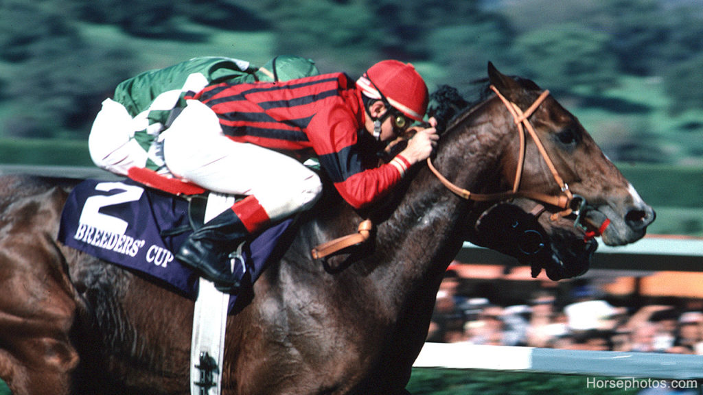 Manila at the 1986 Breeders' Cup