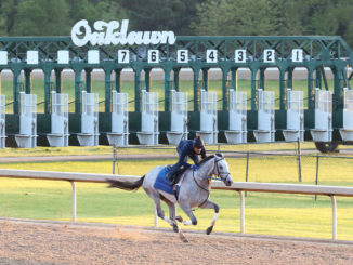 Silver Propsector at Oaklawn Park