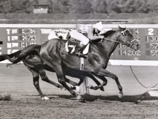 Find wins the 1957 Sunset Handicap at Hollywood Park