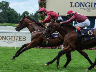The Lir Jet wins the Norfolk Stakes June 19, 2020 at Royal Ascot