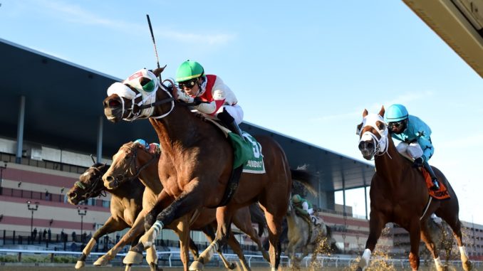 Share the Ride battling to victory in the Fall Highweight H. (G3) at Aqueduct - Coglianese Photography/NYRA