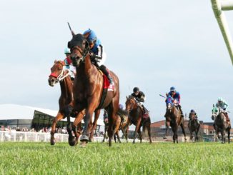 Accredit winning the Dueling Grounds Derby - Coady Photography