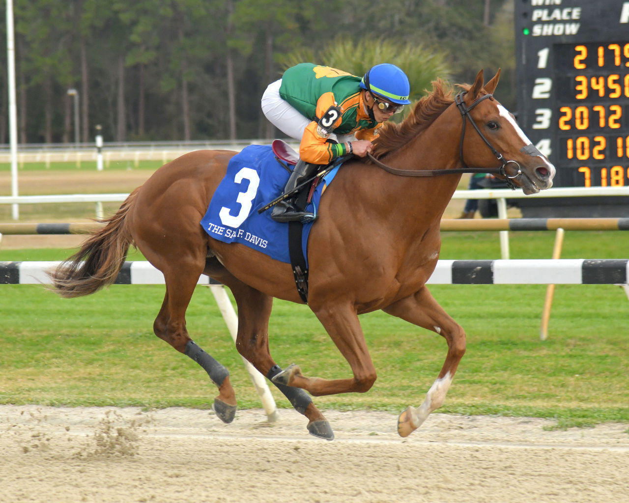 Classic Causeway tops 12 in Tampa Bay Derby