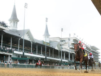 Search Results in the Locust Grove (G3) at Churchill Downs