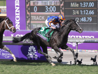 Auguste Rodin with Ryan Moore riding wins the Breeders' Cup Turf (G1) at Santa Anita (Photo by Horsephotos.com)