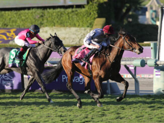 Unquestionable wins Breeders Cup Juvenile Turf (G1) at Santa Anita (Photo by Horsephotos.com)