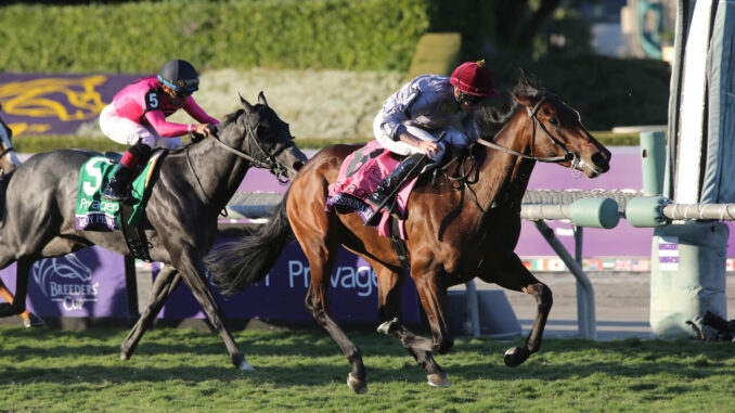 Unquestionable wins Breeders Cup Juvenile Turf (G1) at Santa Anita (Photo by Horsephotos.com)