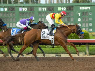 Wynstock wins over Stronghold to win the the Los Alamitos Futurity (G2), Saturday at Los Alamitos Race Course
