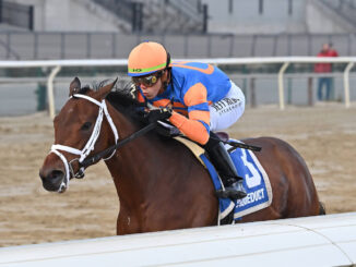 Life Talk in The Demoiselle at Aqueduct