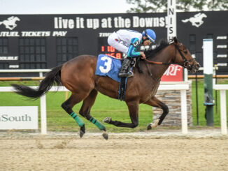 Book'em Danno wins the Pasco Stakes at Tampa Bay Downs