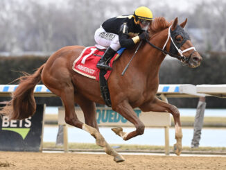 Drum Roll Please wins The Jerome S. (G ) at Aqueduct