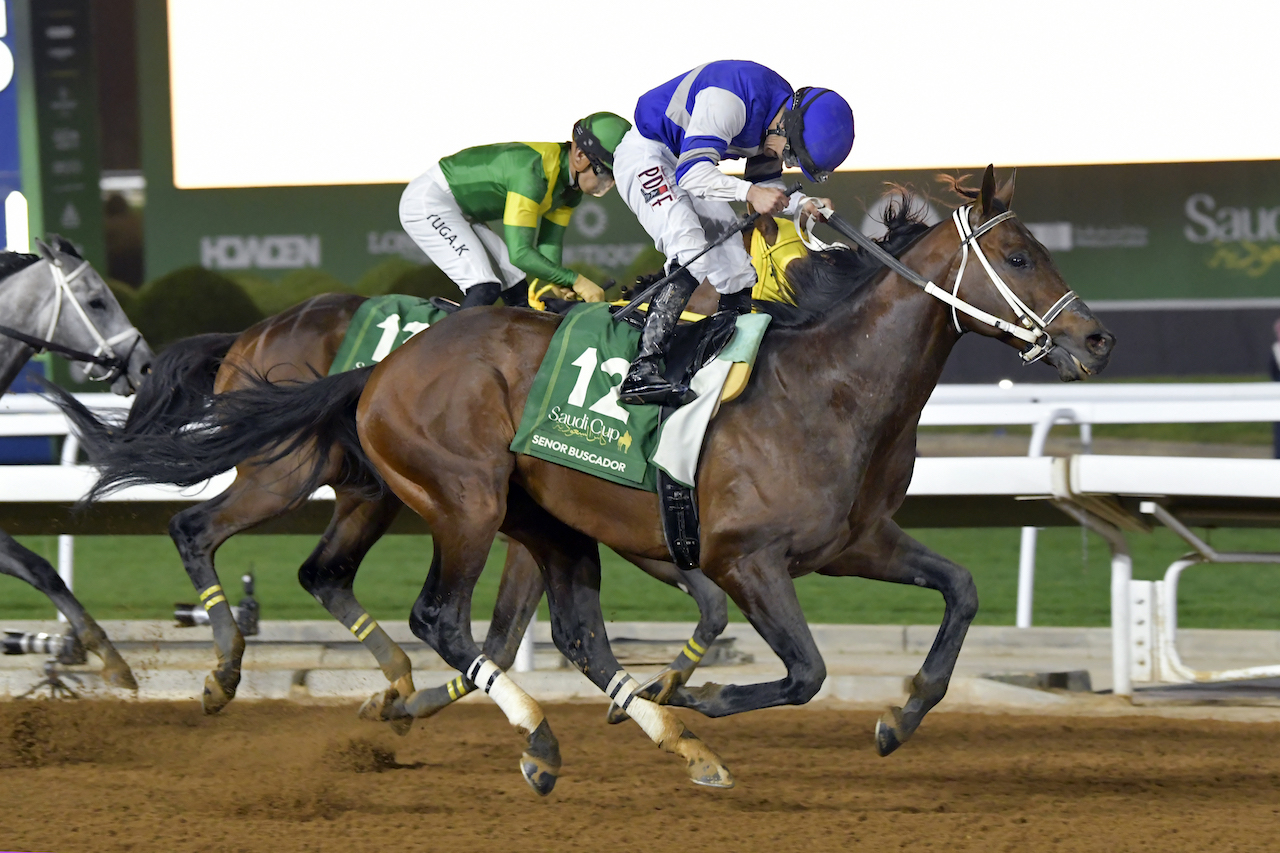 Senor Buscador swoops late, sets new stakes record in Saudi Cup