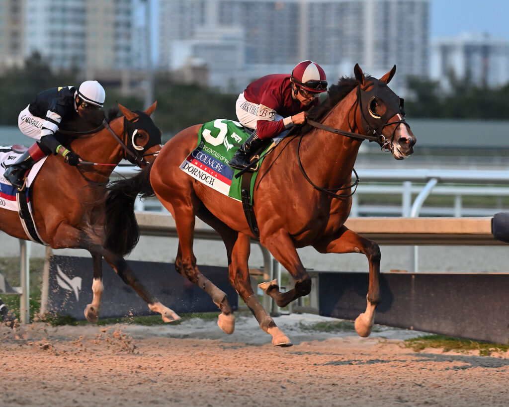 Dornoch wins The Fountain of Youth at Gulfstream Park